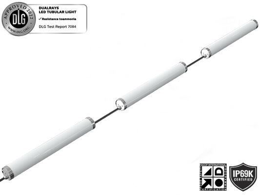 IP69K IK10 TB6 Luz tubular de LED Antovírus de amoníaco para plantas de procesamiento de alimentos