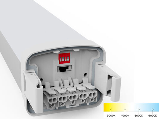 D5 Luz LED a prueba de humedad con energía conmutable DIP y 3CCT 3/5*1.5/2.5mm2 Cables opcionales