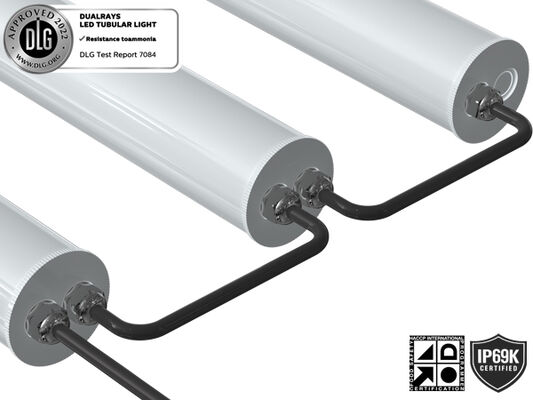 Luz tubular LED de 1.5m 60W IP69K IK10 TB7 para granjas, con conexión en cadena de 3 o 5 cables