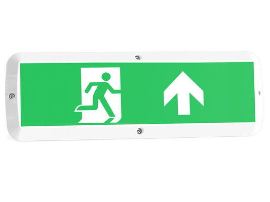 Luz de porche LED de 8W con función de emergencia y sensor de movimiento IP65