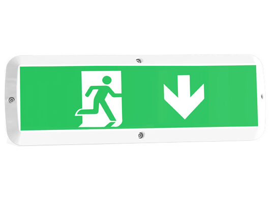 Luz de porche LED de 8W con función de emergencia y sensor de movimiento IP65