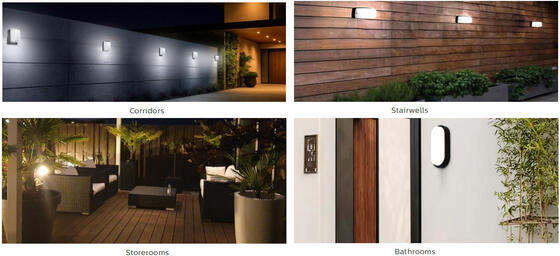 Luz de porche LED de 8W con función de emergencia y sensor de movimiento IP65