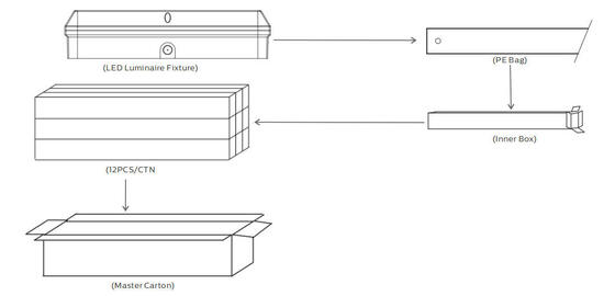 Luz de porche LED Bulk Head 8W con 3CCT y alimentación conmutable