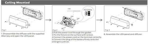 Luz de porche LED Bulk Head 8W con 3CCT y alimentación conmutable