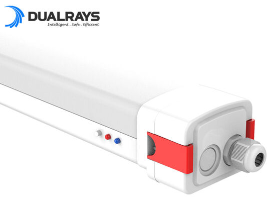 Colocaciones de la luz de la prueba del vapor de DUALRAYS D5 LED con el Fin-casquillo del diseño de la hebilla aprisa conveniente abrirse y cerrar con llave para atar con alambre