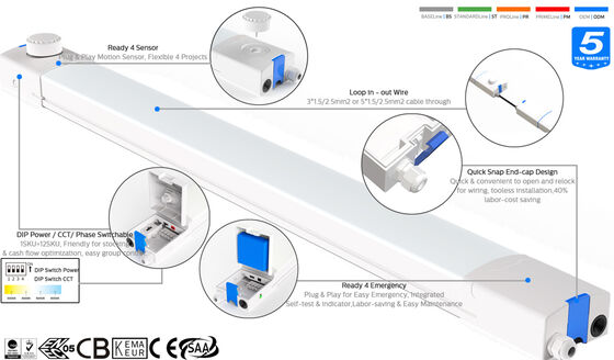 Lámpara LED D4 a prueba de humedad 160LPW con emergencia Ready 4 4W@3HRS con alimentación por interruptor DIP y CCT, significa 1SKU=48 SKU