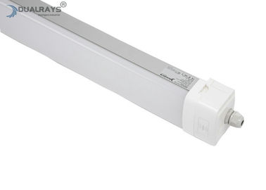 Cubierta plástica de la tri de la prueba de la serie los 3ft 40W LED de Dualrays D5 eficacia a prueba de explosiones 160lmw de la lámpara