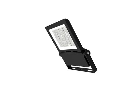 El conductor 300W 150lm/W LED de Meanwell se divierte los reflectores 5 años de garantía con certificaciones del CE ROHS