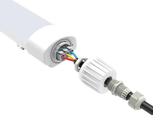 El material plástico completo LED Triproof de la serie 20W los 2ft de Dualrays D2 enciende 3 años de garantía