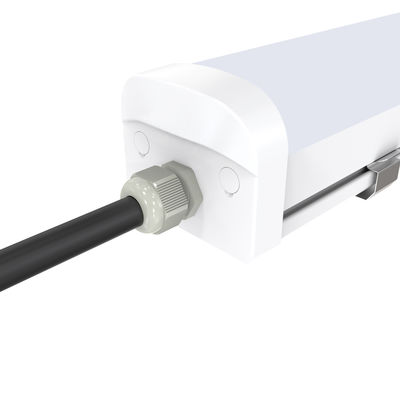 luz clásica de la prueba de los 5ft 50W LED tri para almacenar la iluminación