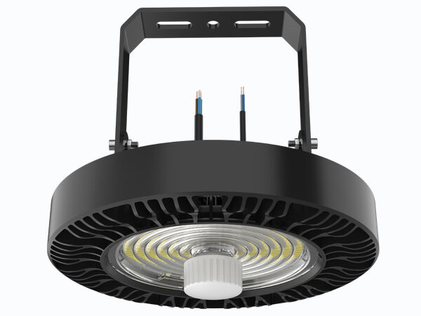 600W LED se divierte los reflectores de tierra diseñados para el deporte que enciende la lente 1-10V PWM DALI Zigbee Control de Professioanl